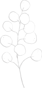 OVIDIA